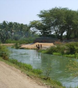 CANAL DE REGADÍO