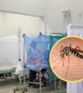 dengue en Piura