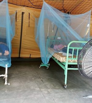 dengue Piura